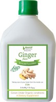 Bhumija Lifesciences Ginger Juice (Sugar Free) Energy Drink(1 L, Unflavoured Flavored)