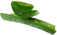 DCS Raw And Natural Aloe Vera Leaves ( Fresh ) ( approx 300 grams )(30 g) - Price 100 66 % Off  