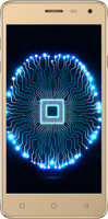 Ziox Astra Viva (champagne& gold/ champagne, 8 GB)(1 GB RAM)