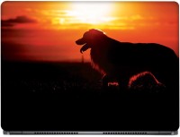View CRAZYINK Dog Sun Effect Vinyl Laptop Decal 16 Laptop Accessories Price Online(CrazyInk)