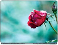 CRAZYINK Rose Bud Flower Vinyl Laptop Decal 14   Laptop Accessories  (CrazyInk)