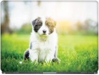 View CRAZYINK Fluppy Puppy on Grass Vinyl Laptop Decal 14 Laptop Accessories Price Online(CrazyInk)