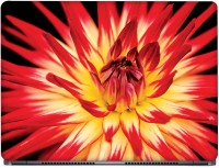 View CRAZYINK Red & Yellow Beautifull Flower Vinyl Laptop Decal 16 Laptop Accessories Price Online(CrazyInk)