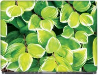 View CRAZYINK Plant Leaves Sketch Art Vinyl Laptop Decal 15.6 Laptop Accessories Price Online(CrazyInk)