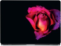 CRAZYINK Red Rose Macro Vinyl Laptop Decal 17.3   Laptop Accessories  (CrazyInk)