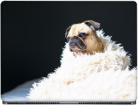 CRAZYINK Pug Inside Blanket Vinyl Laptop Decal 17.3   Laptop Accessories  (CrazyInk)