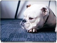 CRAZYINK White Bull Dog Vinyl Laptop Decal 15.6   Laptop Accessories  (CrazyInk)