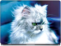 CRAZYINK Long Hairy Cat Vinyl Laptop Decal 15.6   Laptop Accessories  (CrazyInk)