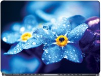 CRAZYINK Water Drops on Blue Flower Vinyl Laptop Decal 16   Laptop Accessories  (CrazyInk)