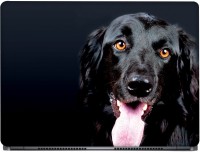 CRAZYINK Pure Black Dog Vinyl Laptop Decal 15.6   Laptop Accessories  (CrazyInk)