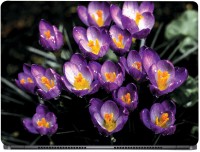 CRAZYINK Water Drops on Spring Purple Flower Vinyl Laptop Decal 16   Laptop Accessories  (CrazyInk)