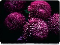CRAZYINK Purple Dahlia Flower Vinyl Laptop Decal 16   Laptop Accessories  (CrazyInk)