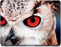 CRAZYINK Red Eye Owl Vinyl Laptop Decal 14   Laptop Accessories  (CrazyInk)