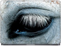 CRAZYINK Horse Eye Macro Vinyl Laptop Decal 17.3   Laptop Accessories  (CrazyInk)