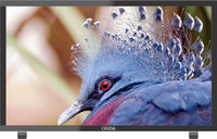 Onida 60.9cm (24 inch) HD Ready LED TV(LEO24HB) Onida 60.9cm (24 inch) HD Ready LED TV(LEO24HB)