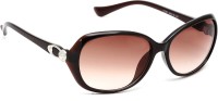 Eyeland Oval Sunglasses(For Women, Brown)