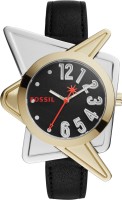 Fossil LE1044  Analog Watch For Women