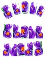 SENECIO� Spectral Violet Floral Nail(Flower) - Price 99 66 % Off  