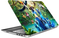 imbue colour birds high quality vinyl Laptop Decal 15.6   Laptop Accessories  (imbue)