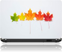 View The Print Cart Fall Gradient Vinyl Laptop Decal 15.6 Laptop Accessories Price Online(The Print Cart)