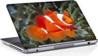 Shopmania Orange Fish Vinyl Laptop Decal 15.6   Laptop Accessories  (Shopmania)