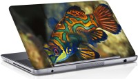 Shopmania Color fish Vinyl Laptop Decal 15.6   Laptop Accessories  (Shopmania)