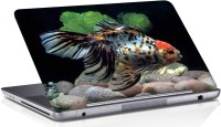 View Shopmania spooted Fish Vinyl Laptop Decal 15.6 Laptop Accessories Price Online(Shopmania)