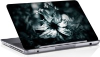 View Shopmania Black & White Flower Vinyl Laptop Decal 15.6 Laptop Accessories Price Online(Shopmania)