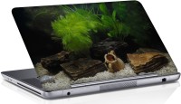 View Shopmania aquarium Vinyl Laptop Decal 15.6 Laptop Accessories Price Online(Shopmania)