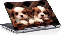 Shopmania puppy in basket Vinyl Laptop Decal 15.6   Laptop Accessories  (Shopmania)
