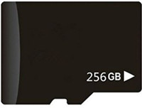 MAYA Pro 256 GB MicroSD Card Class 10 45 MB/s  Memory Card