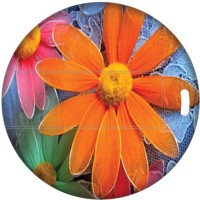 Color Works CPDC321054 32 GB Pen Drive(Multicolor) (Color Works)  Buy Online