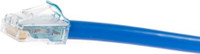 Commscope CPCSSY2-0ZM002 2 m Patch Cable(Compatible with Universal, Blue)