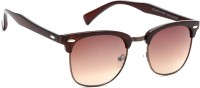 Eyeland Clubmaster Sunglasses(For Men & Women, Brown)