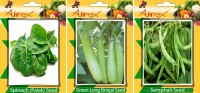 Airex Spinach, Green Long Brinjal, Semphali Seed(25 per packet)