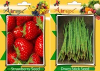 Airex Strawberry, Drum Stick Seed(15 per packet)