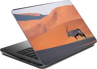 meSleep Animal Desert Vinyl Laptop Decal 15.6   Laptop Accessories  (meSleep)