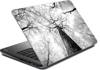 meSleep Trees Pov Vinyl Laptop Decal 15.6   Laptop Accessories  (meSleep)