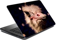 meSleep Ostrich Vinyl Laptop Decal 15.6   Laptop Accessories  (meSleep)