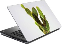meSleep Cactus Vinyl Laptop Decal 15.6   Laptop Accessories  (meSleep)