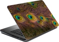 meSleep Peacock Feathers Vinyl Laptop Decal 15.6   Laptop Accessories  (meSleep)