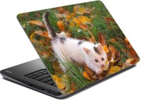 meSleep Natrual Wild Cat Vinyl Laptop Decal 15.6   Laptop Accessories  (meSleep)