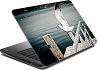 meSleep Seagull Vinyl Laptop Decal 15.6   Laptop Accessories  (meSleep)