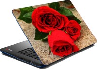 meSleep Rose 09-59 Vinyl Laptop Decal 15.6   Laptop Accessories  (meSleep)