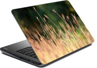 meSleep Wheat Farm Vinyl Laptop Decal 15.6   Laptop Accessories  (meSleep)