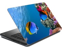 meSleep Fish Vinyl Laptop Decal 15.6   Laptop Accessories  (meSleep)