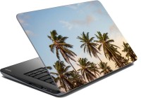 meSleep Palm Trees Vinyl Laptop Decal 15.6   Laptop Accessories  (meSleep)