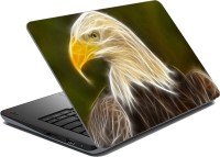meSleep Vulture Abstract Vinyl Laptop Decal 15.6   Laptop Accessories  (meSleep)