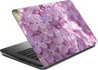 meSleep Floral 890 Vinyl Laptop Decal 15.6   Laptop Accessories  (meSleep)