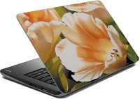 meSleep Open Flower Vinyl Laptop Decal 15.6   Laptop Accessories  (meSleep)
